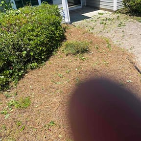 Flower Bed Weeding by Gianlawncare reviewed on June 3, 2026