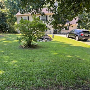 yard care by Brooks Horridge reviewed on August 16, 2025