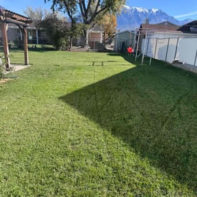 landscape maintenance by Elevated Yards reviewed on August 21, 2025