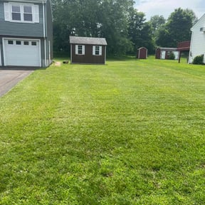 landscaping by A+ Student Lawn Care reviewed on August 18, 2025