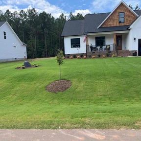 turf care by P Tree United Services LLC reviewed on August 19, 2025