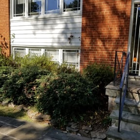 Bush Trimming by Green Earth Landscaping LLC reviewed on August 15, 2025