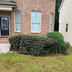 Bush Trimming by Crews Lawn Care reviewed on August 15, 2025