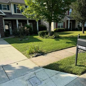 yard care by LuJacks Services reviewed on August 17, 2025