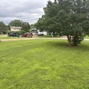 lawn care by D&amp;G Lawn Care/Pressure Washing reviewed on August 18, 2025