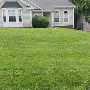 landscaping services by Lantern Landscape LLC reviewed on November 19, 2025