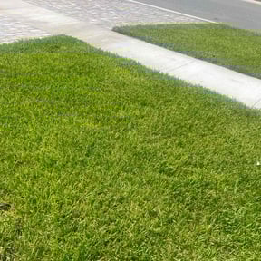 residential landscaping by Pro Lawn Cut reviewed on November 9, 2017