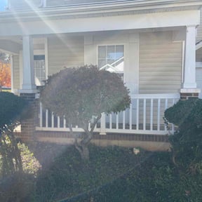 Bush Trimming by Cindy&#039;s lawn care reviewed on October 23, 2025