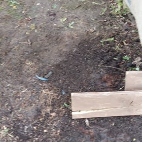 Leaf Removal by J.C. Lawn Service reviewed on September 30, 2025