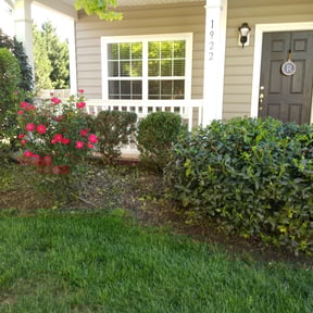 Bush Trimming by Verde Garden LLC. reviewed on August 18, 2025