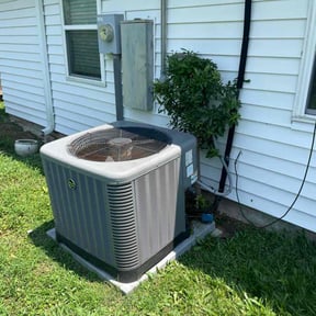 Bush Trimming by Dion Property Management reviewed on November 10, 2025