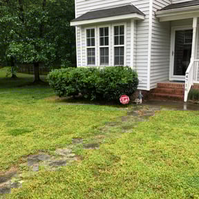 Bush Trimming by Stephen&#039;s Lawncare reviewed on March 8, 2023