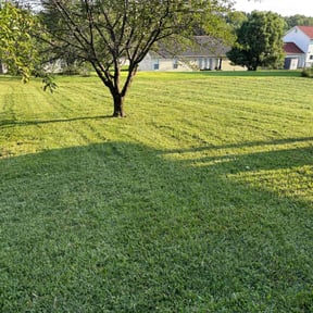 gardening service by White wolf mowing reviewed on August 20, 2025