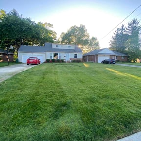 yard maintenance by B&M Paradise services LLC reviewed on August 17, 2025
