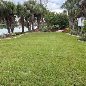 grass maintenance by Superfast lawn service reviewed on May 31, 2024