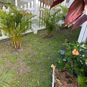 Bush Trimming by S.E. Landscaping reviewed on August 20, 2025