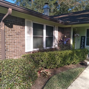 Flower Bed Weeding by The Green Spot reviewed on August 15, 2025