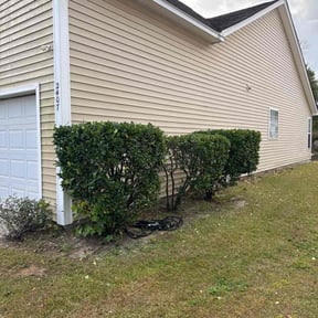 Bush Trimming by Mow &amp; Go reviewed on November 24, 2025