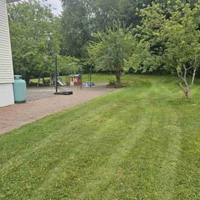 grass cutting by LaserEdge mowing and Landscaping reviewed on May 4, 2024