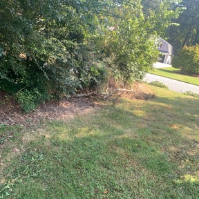 Bush Trimming by Wright Pro Services reviewed on August 19, 2025