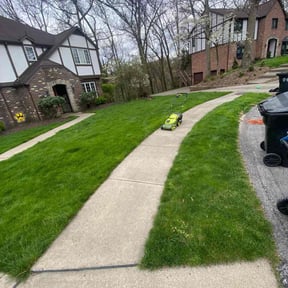 grass maintenance by Melody Herrera reviewed on December 5, 2023