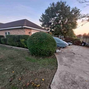 Bush Trimming by Pkextremeclean reviewed on August 19, 2025