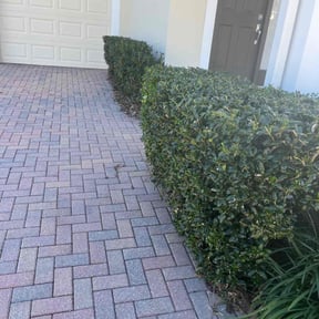 Bush Trimming by Three Palms landscaping service reviewed on August 18, 2025