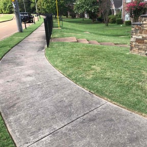 yard work by AFL Lawn Care reviewed on August 18, 2025
