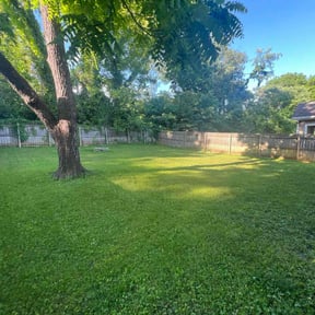 yard maintenance by Green Hill Landscaping reviewed on August 16, 2025