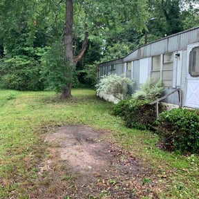Bush Trimming by CKA Smith Group, LLC reviewed on August 19, 2025