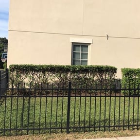 Bush Trimming by Pinedas Lawn Mowing Pro reviewed on July 25, 2025