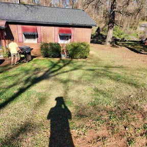 Bush Trimming by Norman Boys Lawn Care reviewed on August 16, 2025
