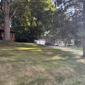 Leaf Removal by Dlawncare reviewed on September 26, 2025