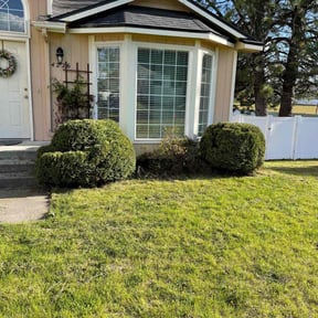 Bush Trimming by Roberts Cutting Edge LLC reviewed on August 19, 2025