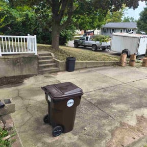 Leaf Removal by AP Lawn Service reviewed on September 11, 2025