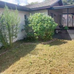 Bush Trimming by Gia Mobile Detailing reviewed on June 27, 2022