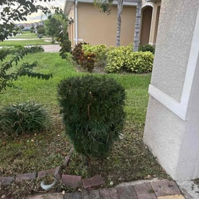 Bush Trimming by Birch Hill Mowing &amp; Property Maintenance reviewed on November 21, 2025
