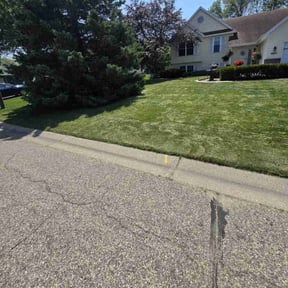 yard maintenance by Green Living reviewed on December 30, 2025