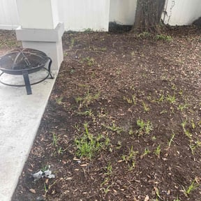 Leaf Removal by Captain Jack Lawn Service &amp; Landscaping reviewed on September 29, 2025