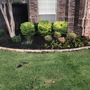 Bush Trimming by NRB LAWN CARE LLC reviewed on August 16, 2025