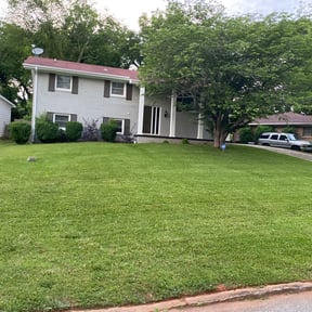 Bush Trimming by BPR Home Solutions LLC reviewed on August 20, 2025