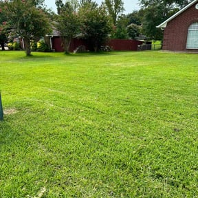 residential landscaping by The Green Op reviewed on August 20, 2025