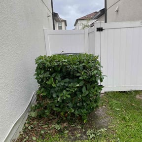 Bush Trimming by Code 3 Lawn LLC reviewed on August 16, 2025