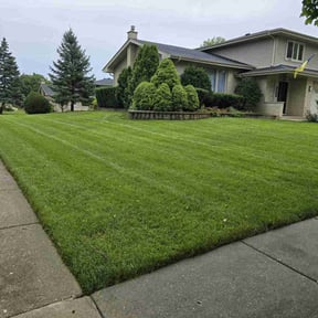 lawn care by JLS Lawn Care reviewed on March 4, 2024