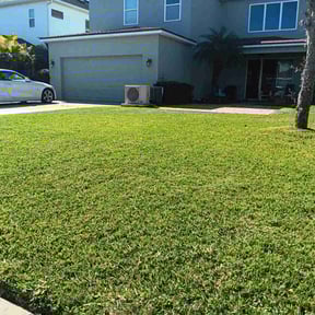 turf maintenance by Mr. Mower reviewed on August 20, 2025