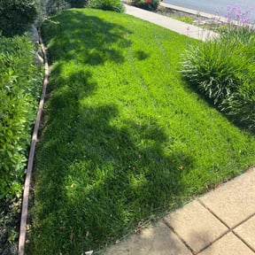 yard service by Cheno Enterprise reviewed on August 21, 2025