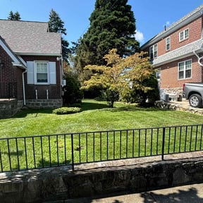 grass maintenance by YCF Property Maintenance & Contracting Services reviewed on May 6, 2025