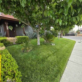 yard care by Bubby & Bruisers Landscaping reviewed on August 21, 2025