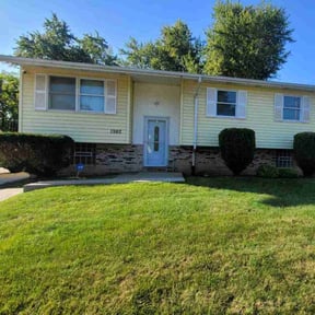 Bush Trimming by Bo&#039;s lawn care reviewed on November 23, 2025