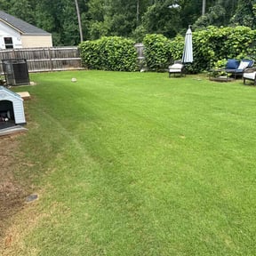 yard work by Eazy choice reviewed on June 6, 2025